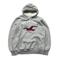 Hollister Hoodie from 2005 (M)
