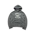 Hollister Hoodie (M)