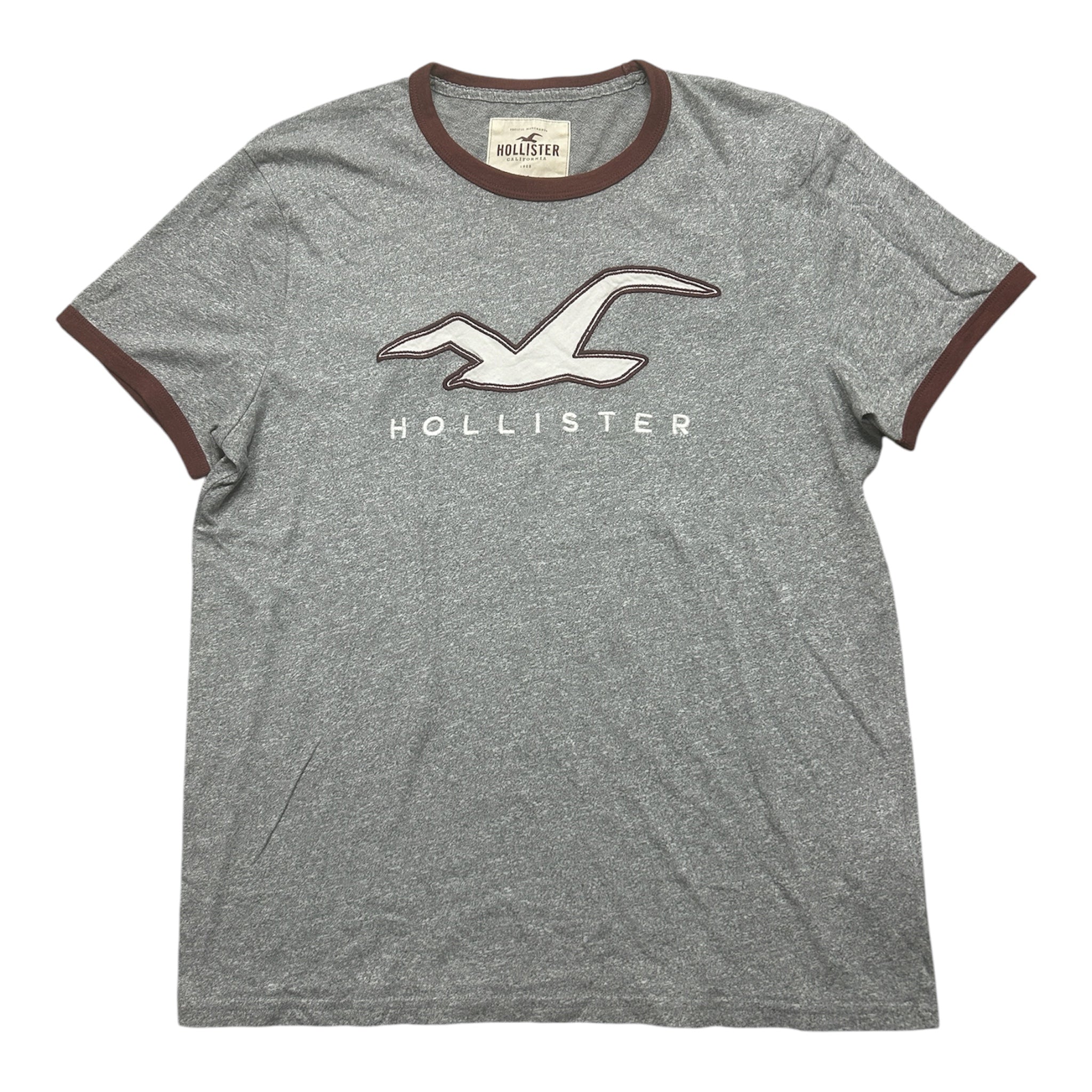 Hollister T-Shirt (M-L)